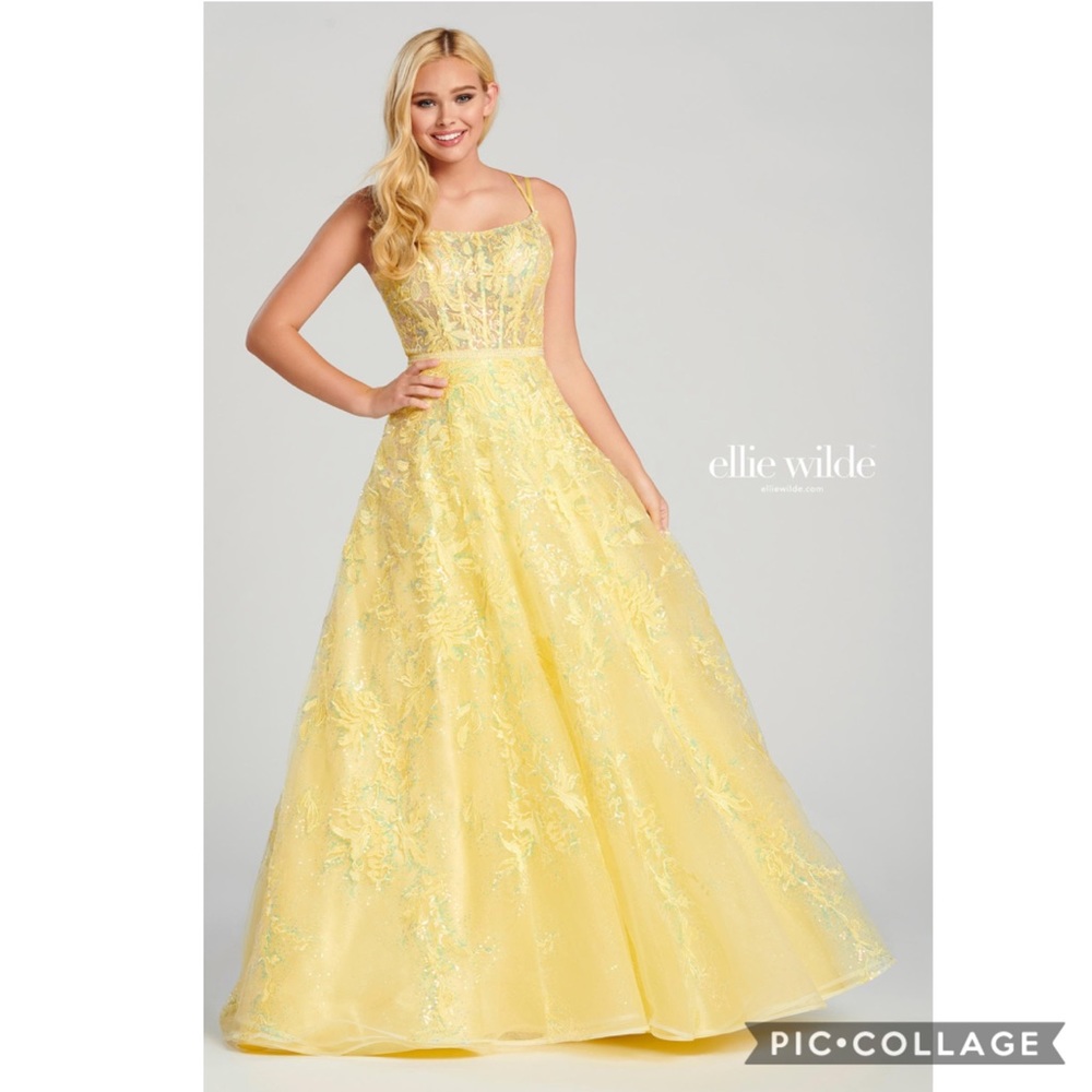 Ellie Wilde embroidered fit and flare sleeveless long Gown